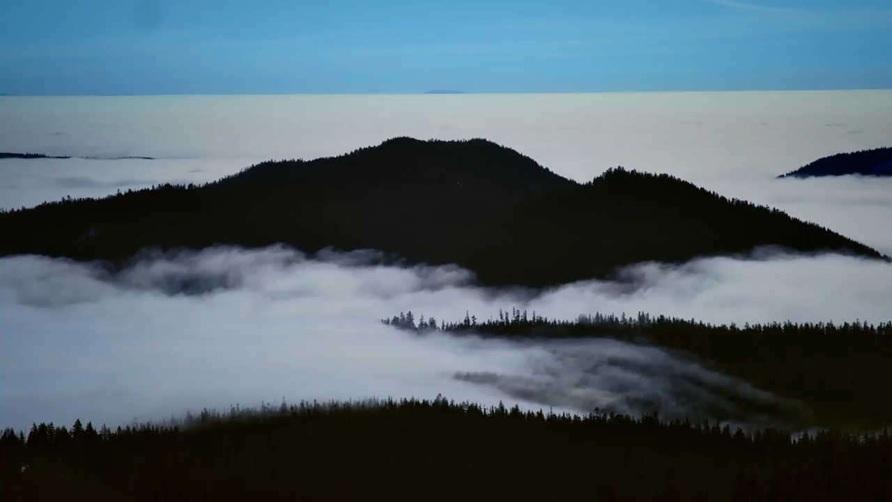 Portland Fire Debut Season Uniforms